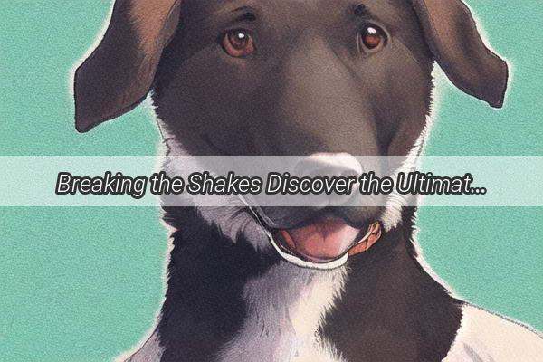 Breaking the Shakes Discover the Ultimate Medicine for Your Poochs Seizures